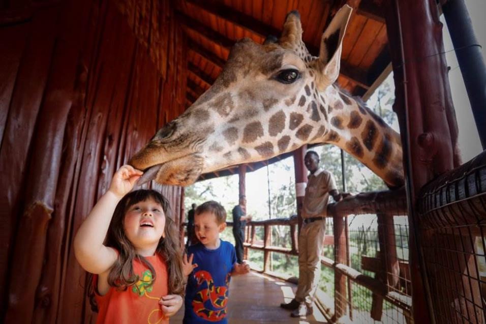 Una niña alimenta a una jirafa de Rothschild en el Centro de Jirafas en Nairobi (Kenia), el 9 de abril de 2018. DAI KUROKAWA EFE