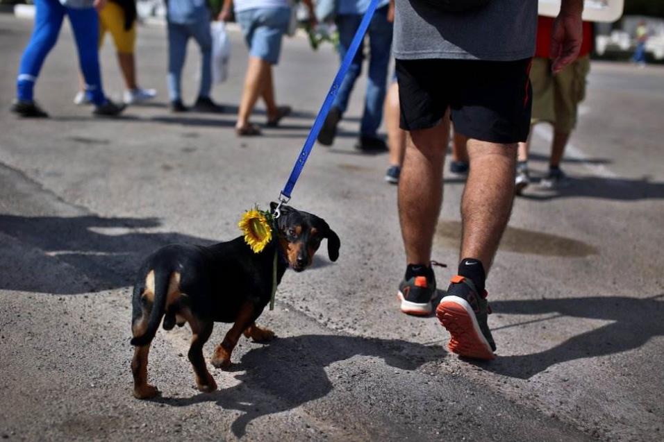 Un hombre participa con su mascota en una marcha reclamando una ley de protección para los animales en La Habana (Cuba), el 15 de abril de 2018. ALEJANDRO ERNESTO EFE