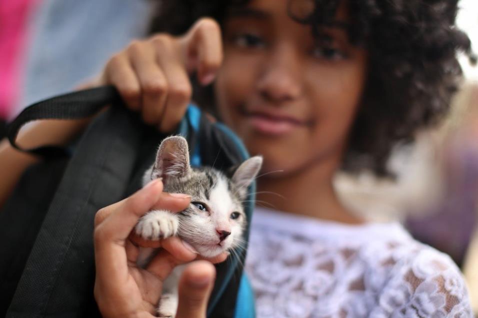 Una niña posa con gato en una marcha para reclamar una ley de protección para los animales en La Habana (Cuba), el 15 de abril de 2018. ALEJANDRO ERNESTO EFE