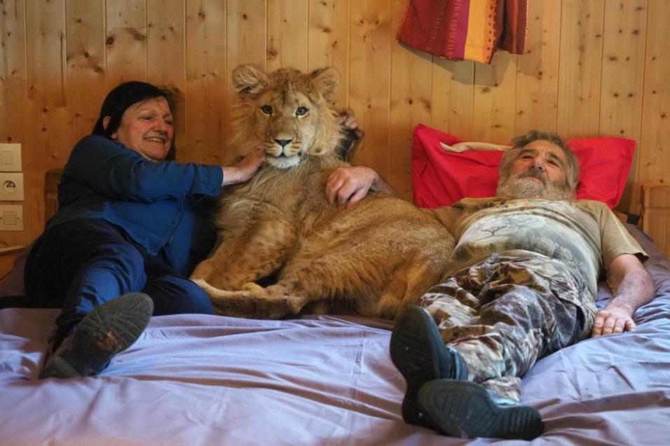 Simba, un león de nueve meses, posa en la habitación de Dominique y Juliette Cases, propietarios de un pequeño zoológico privado en Casteil (Francia), el 27 de abril de 2018. RAYMOND ROIG AFP