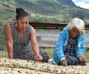 Las mujeres (indígenas) que alimentan a América Latina