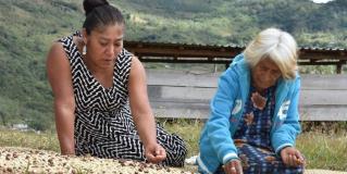 Las mujeres (indígenas) que alimentan a América Latina