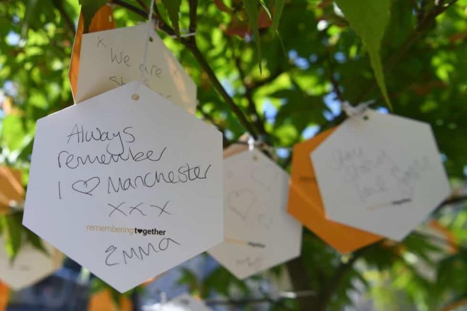 Mensajes de apoyo cuelgan del árbol de la esperanza, plantado como memorial en recuerdo a las 22 víctimas que perdieron la vida en el atentado de Manchester. PAUL ELLIS AFP