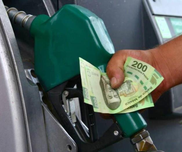 Seguirán alzas en las gasolinas hasta septiembre Seguirán alzas en las gasolinas hasta septiembre