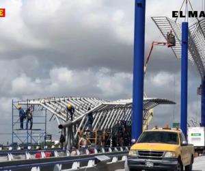 ‘Aterrizan’ más palomas en puente sobre bulevar