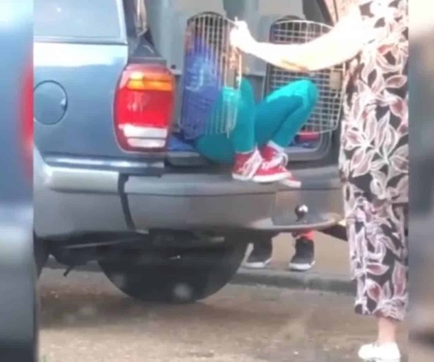 La detienen por llevar a sus nietos en jaulas para perros La detienen por llevar a sus nietos en jaulas para perros
