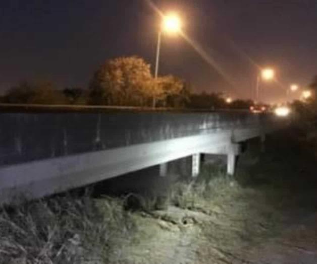 Pasean perro; hallan muerto Pasean perro; hallan muerto