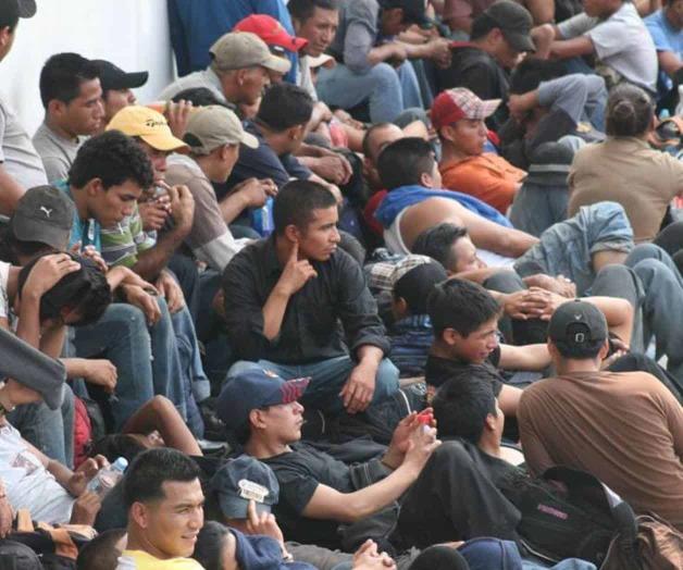 Detención récord de 113 migrantes. Exitosos operativos de la BP Detención récord de 113 migrantes. Exitosos operativos de la BP