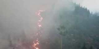 Incendios y sequías en el norte de Europa a causa de una sofocante ola de calor