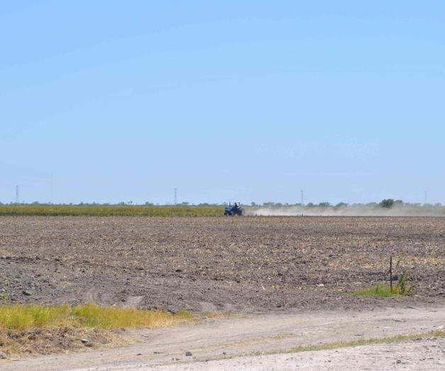 Avanza los trabajos nuevo ciclo agrícola Avanza los trabajos nuevo ciclo agrícola