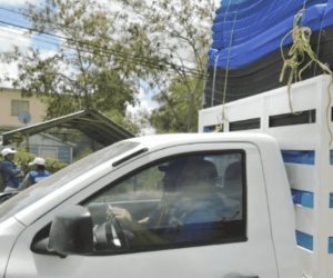 Inicia reparto de Fonden