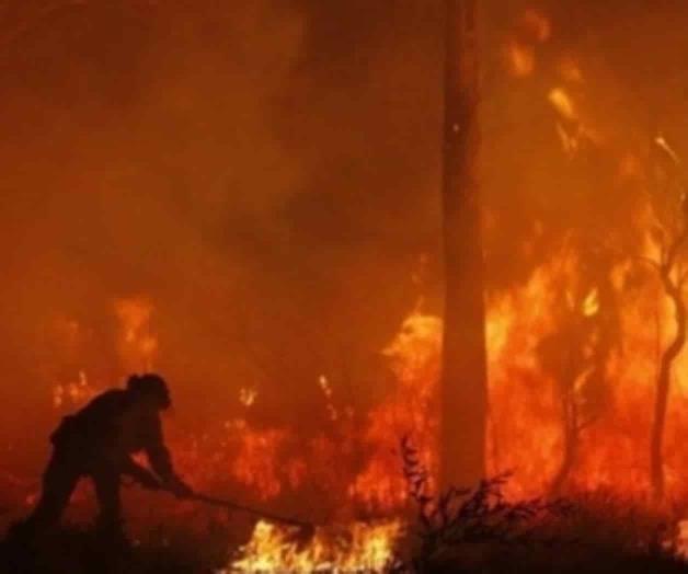 Incendios arrasan con más de un millón de hectáreas en Australia Incendios arrasan con más de un millón de hectáreas en Australia
