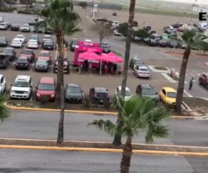 Desatan furor los caza ofertas