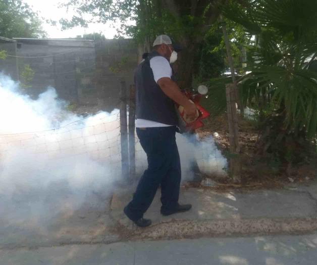 Cuadruplican los casos de dengue Cuadruplican los casos de dengue