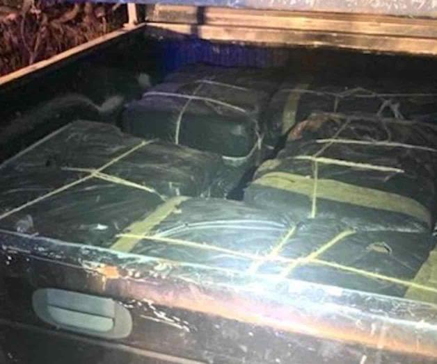 Siguen los decomisos, 800 libras de ‘yerba’ Siguen los decomisos, 800 libras de ‘yerba’