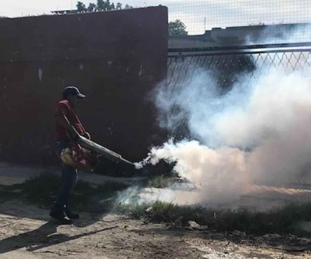 Andan bien ‘bravos’ los zancudos Andan bien ‘bravos’ los zancudos
