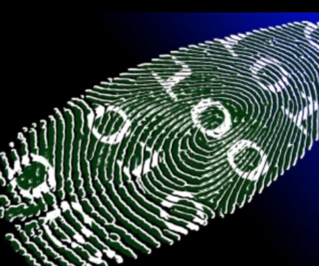 Reducir brecha digital trae diversos beneficios al país Reducir brecha digital trae diversos beneficios al país