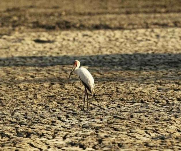 ONU: Esta década se encamina a nuevo récord de temperatura ONU: Esta década se encamina a nuevo récord de temperatura