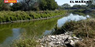 Proliferan mosquitos en la Luis Donaldo Colosio