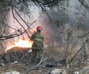 Prenden intencionalmente fuego a basureros clandestinos, en Reynosa