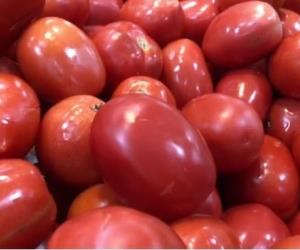 Baja precio de tomate