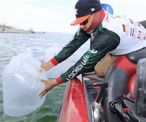 Liberan 8 mil alevines de tilapia en la Presa La Loba en Tamaulipas