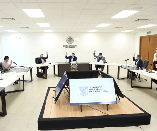 Prohibirán mutilaciones ‘estéticas’ en mascotas Prohibirán mutilaciones ‘estéticas’ en mascotas