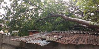 Ocasiona frente frío destrozos en el sur de Tamaulipas