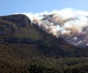 Combate PC Tamaulipas Incendios en Nuevo León