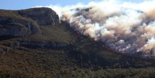 Combate PC Tamaulipas Incendios en Nuevo León