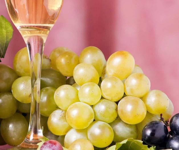 12 uvas de reflexión para la 4T (2) 12 uvas de reflexión para la 4T (2)