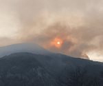 Incendio forestal afecta 80 hectáreas en el sur de Nuevo León