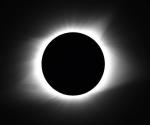 Impacto del Eclipse Solar 2024 en los animales y más