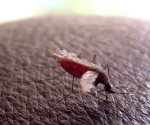 Detectan primer caso de malaria en migrante venezolana en Coahuila