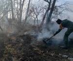 Consume incendio 40 hectáreas en Altiplano de Tamaulipas