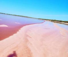 Tesoro oculto de Tamaulipas: La laguna rosada de Soto La Marina