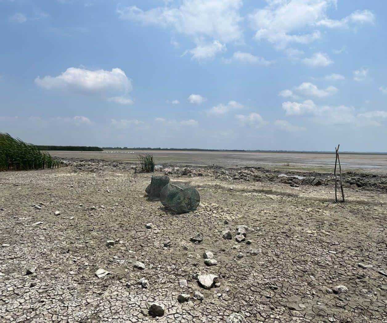 Aumenta el riesgo de invadir lagunas en zona conurbada de Tamaulipas