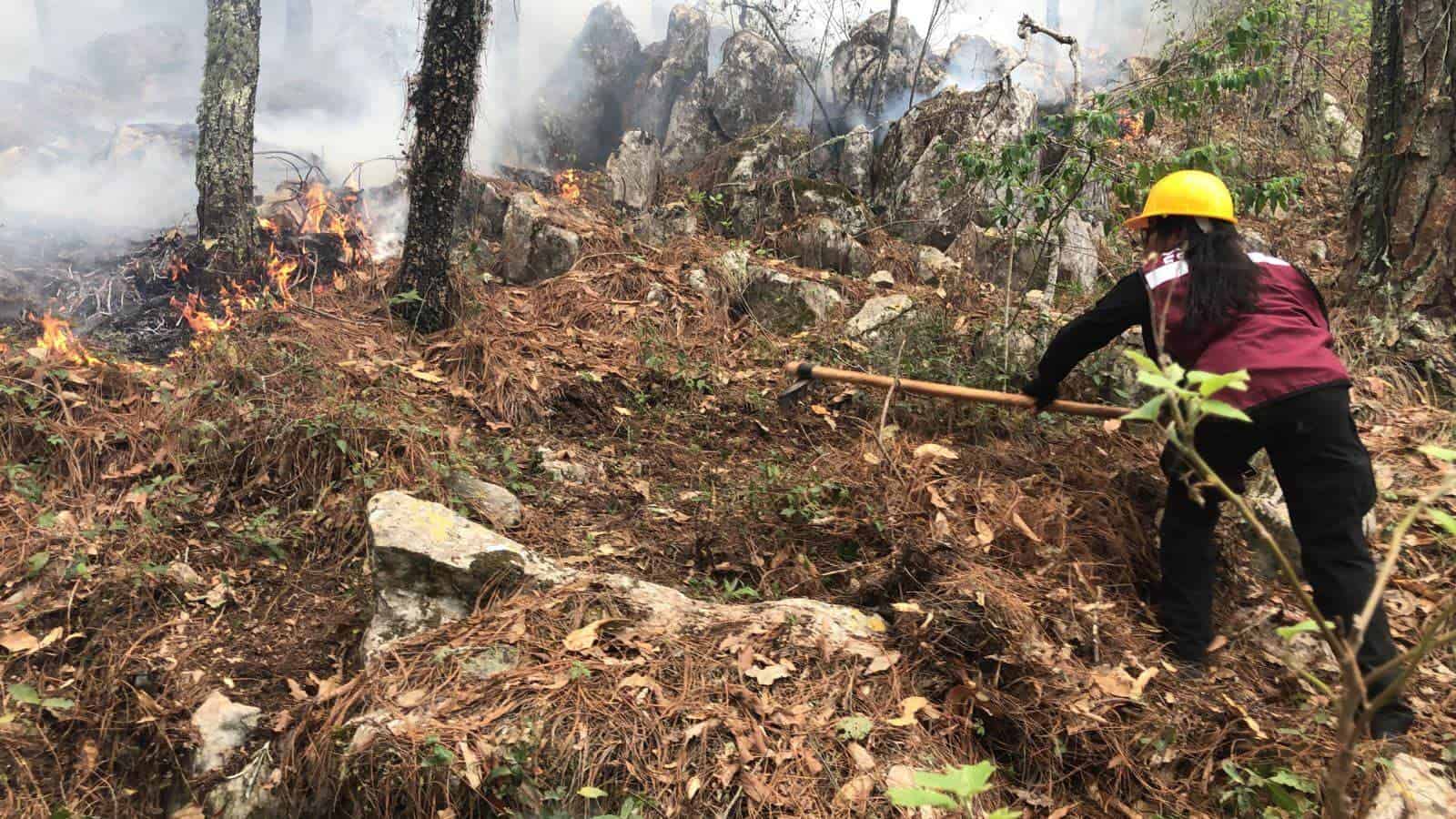 Incendio forestal en el Cañón del Novillo controlado en un 55%