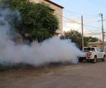 Unen esfuerzos salud y municipios: Arman brigadas contra el dengue