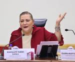 Niega Taddei error en boletas de ministros