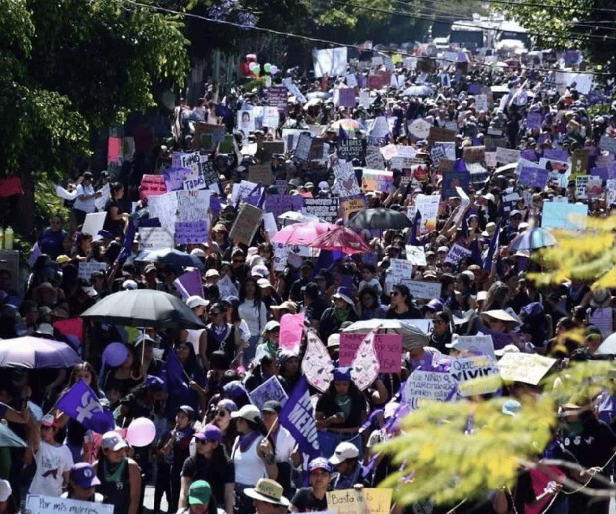 Claman por seguridad y alto a feminicidios en estados