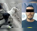 Hombre detenido por presunto abuso a un perro en Guadalupe