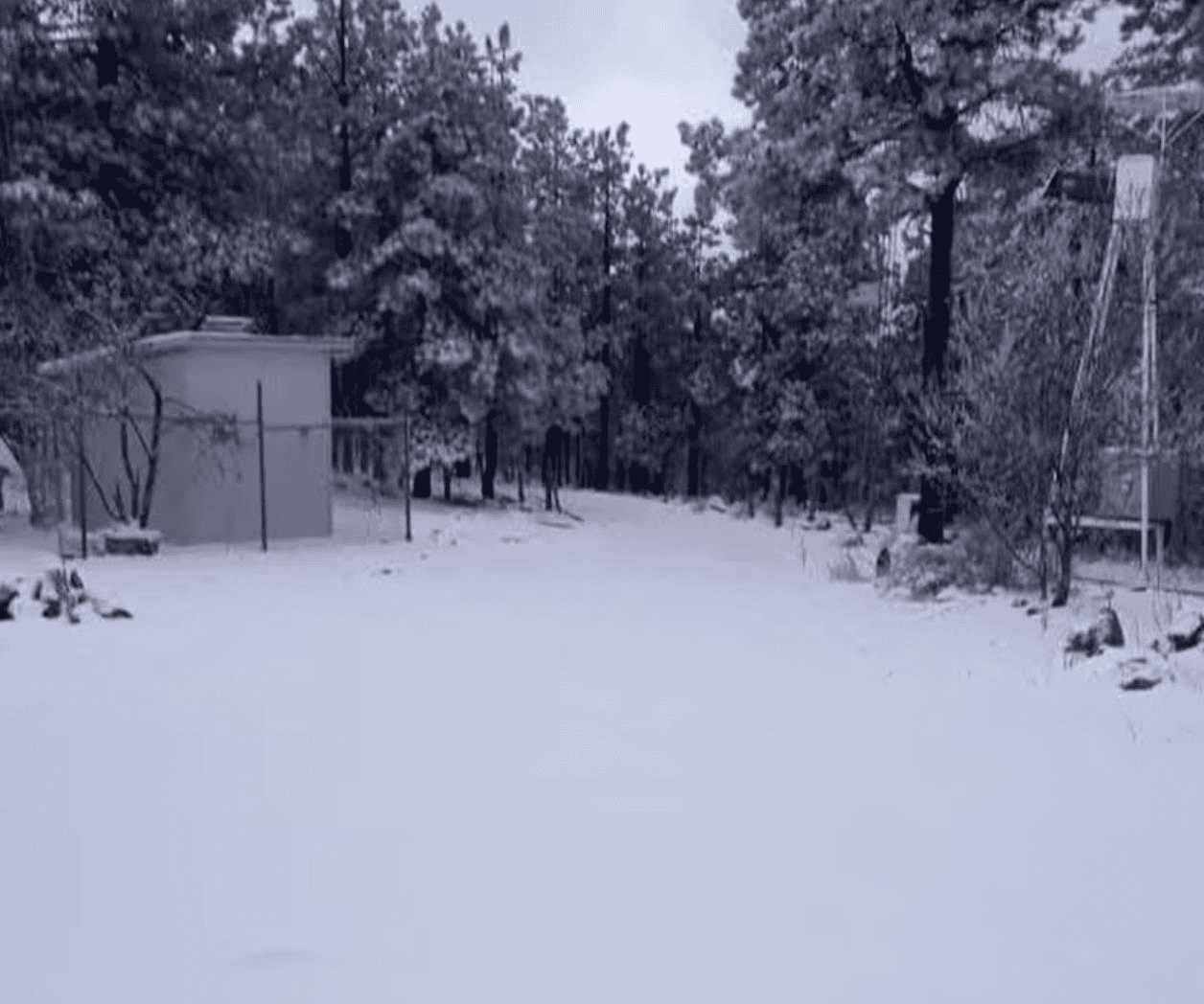 En plena primavera, cae nieve en municipios de Chihuahua