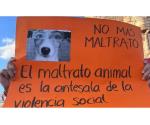 Suman 300 denuncias por maltrato animal en Yucatán