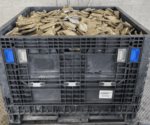 Incauta CBP metanfetamina en exportación de chayote
