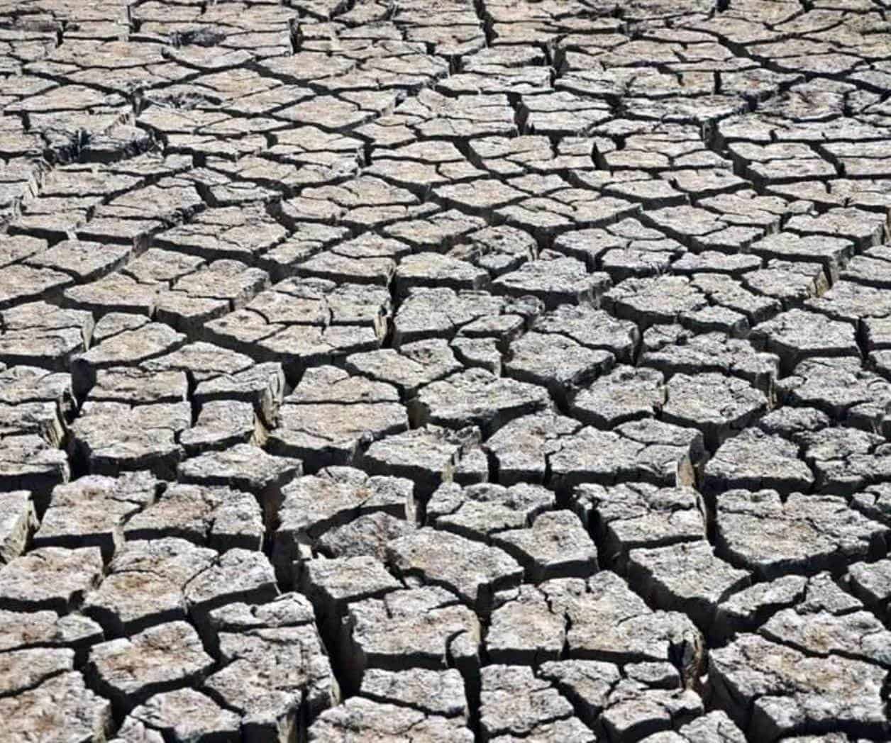 Impacto de la sequía en Chihuahua