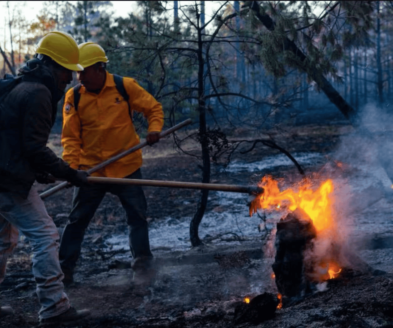 Suman 13 incendios forestales en varios municipios de Chihuahua