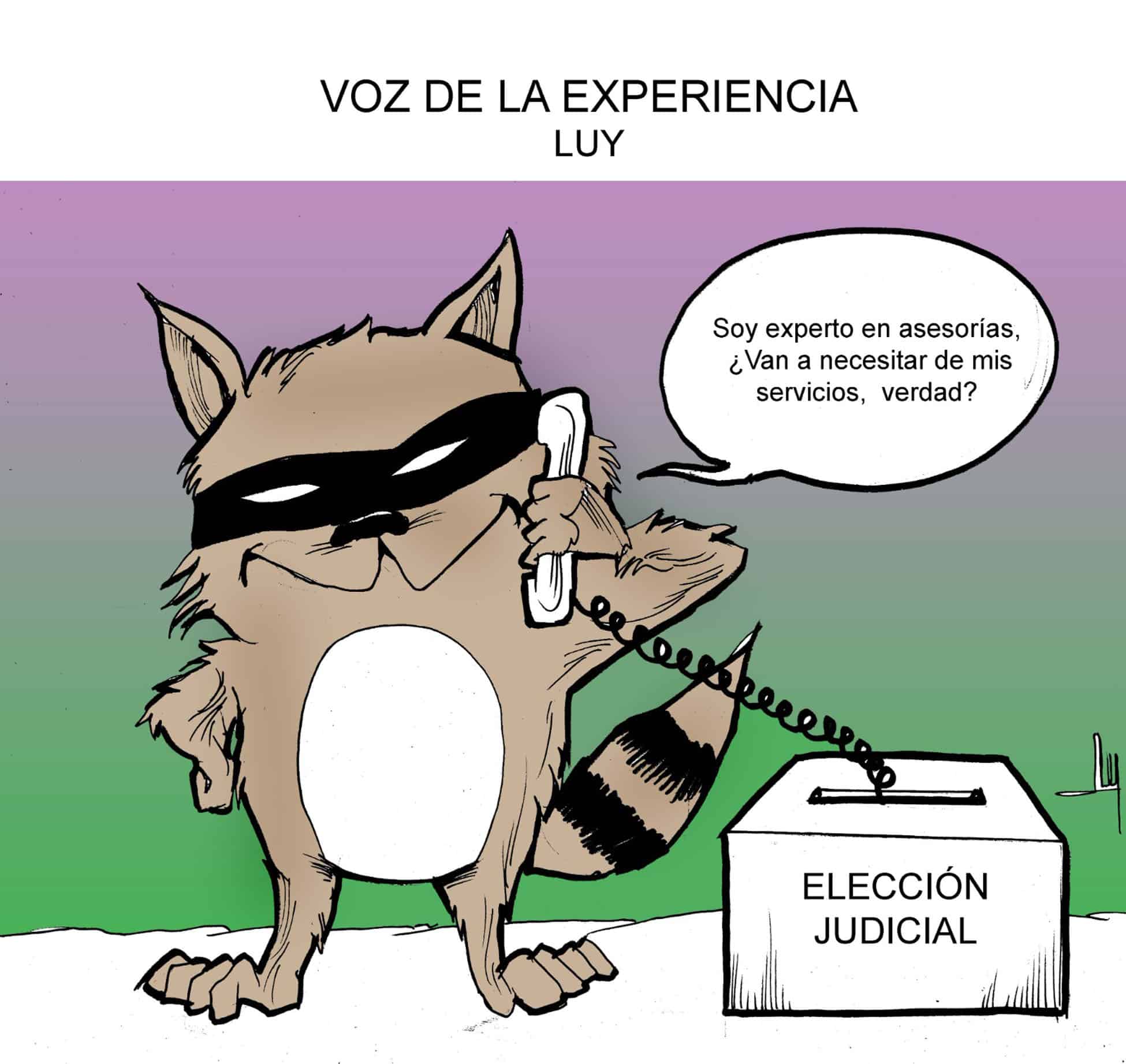 Voz de la experiencia
