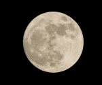 Luna de Flores 2025; ¿cuándo ver el fenómeno astronómico?