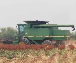 En ‘picada’ el precio de la tonelada de sorgo